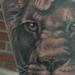 Tattoos - Lions - 66195